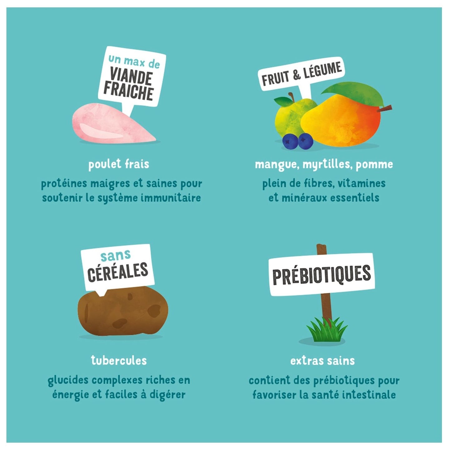 Croquettes pour Chien Adulte au Poulet Sans Céréales EDGARD COOPER