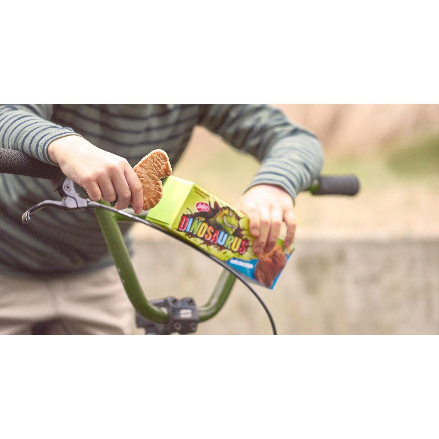 Original Milchschokoladenkekse LOTUS DINOSAURUS