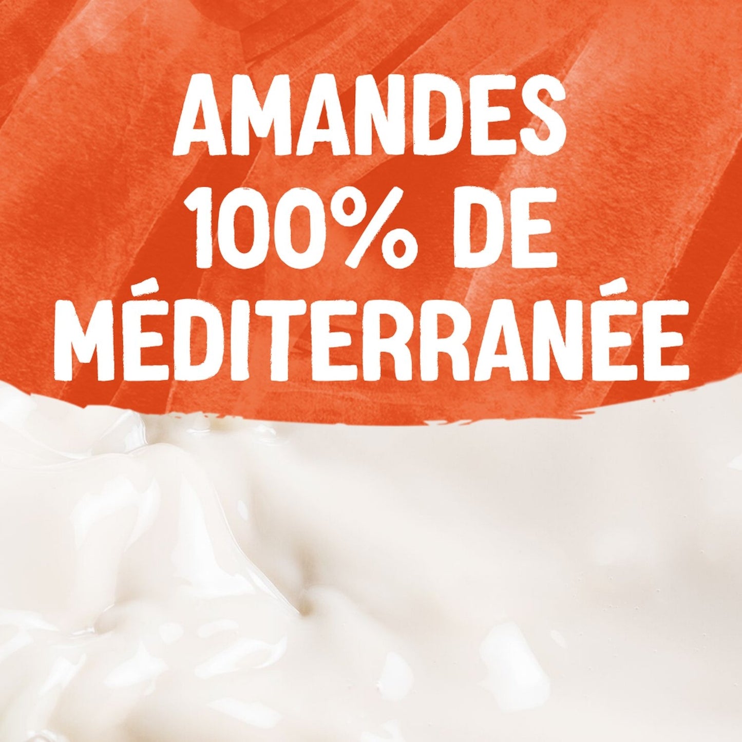 Boisson Végétale Amande Grillée Sans Sucres ALPRO