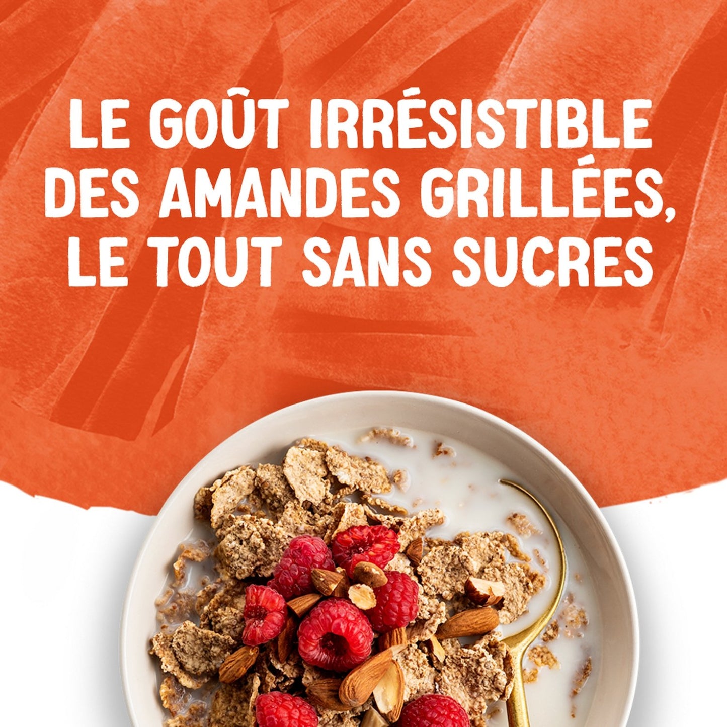 Boisson Végétale Amande Grillée Sans Sucres ALPRO