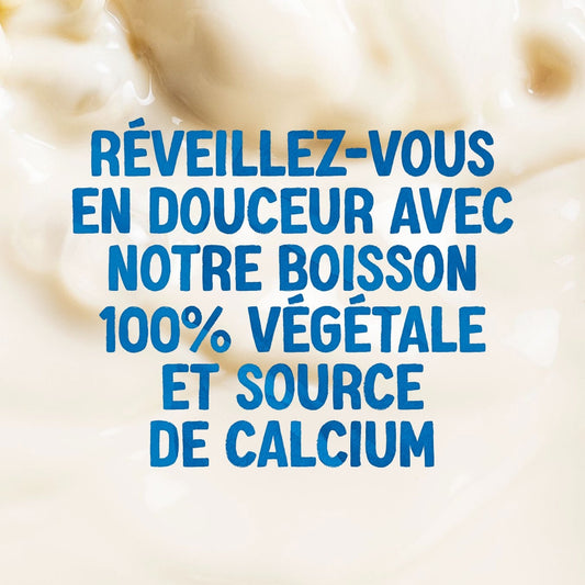 Boisson Végétale Avoine Spécial Petit Déj ALPRO