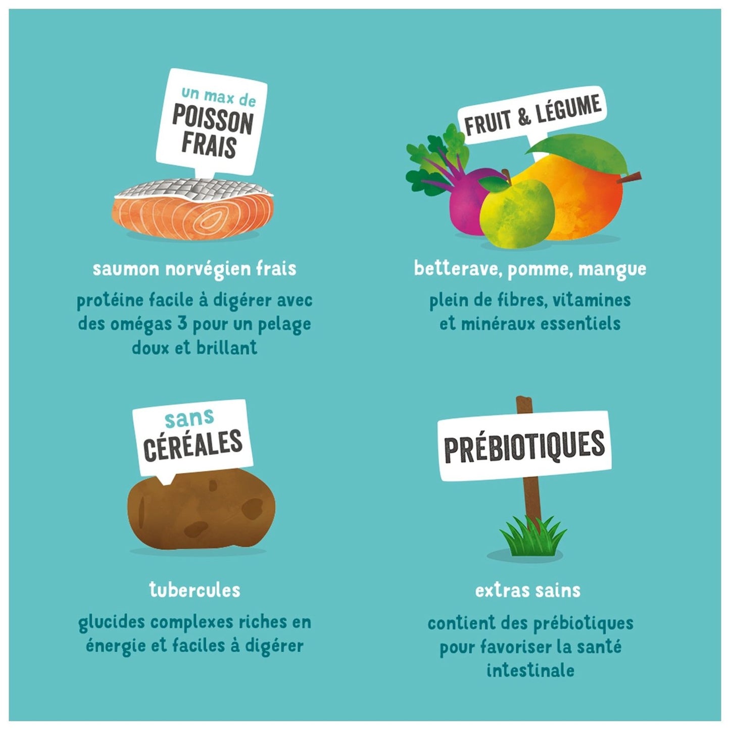 Croquettes pour Chien Adulte Sans Céréales Saumon Edgar & COOPER