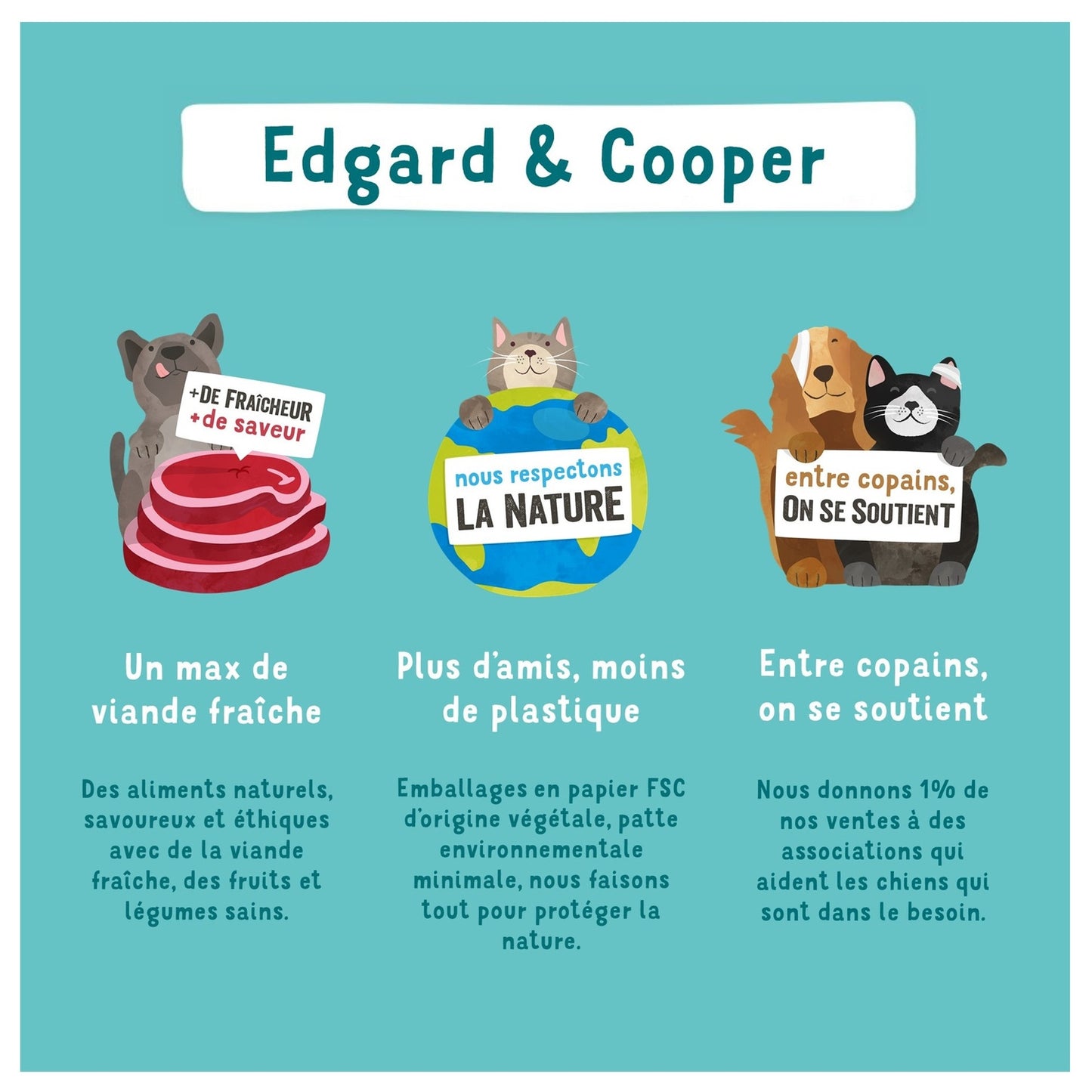 Croquettes pour Chien Adulte Sans Céréales Saumon Edgar & COOPER