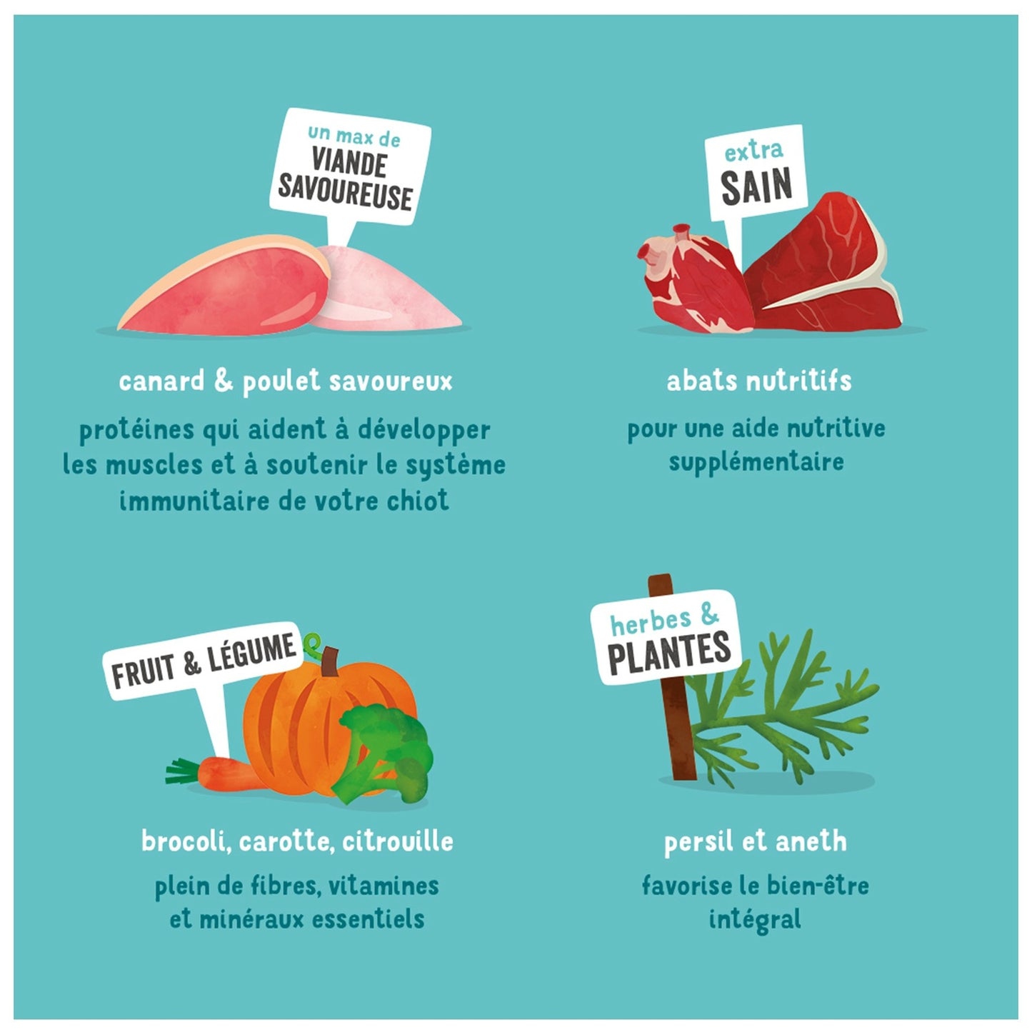 Pâtée pour Chien Junior Sans Céréales Poulet Canard Légumes Edgar & COOPER