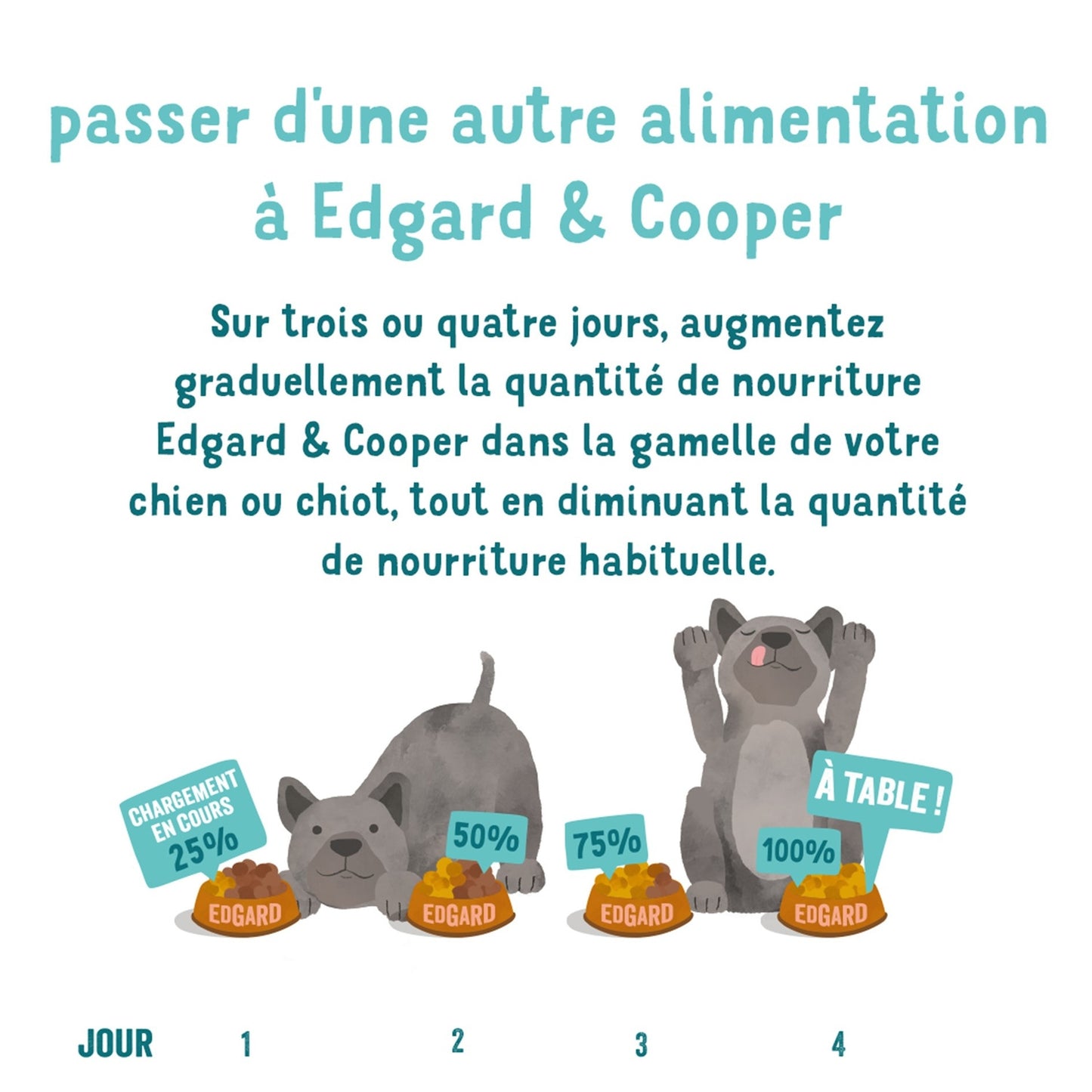 Pâtée pour Chien Adulte Agneau Boeuf Légumes Sans Céréales Irresistibles Edgar & COOPER