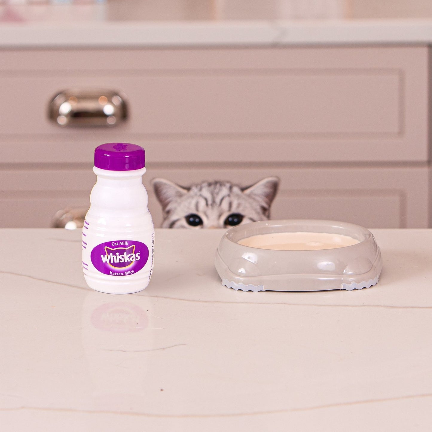 Lait pour Chat Adultes et Junior Catmilk WHISKAS