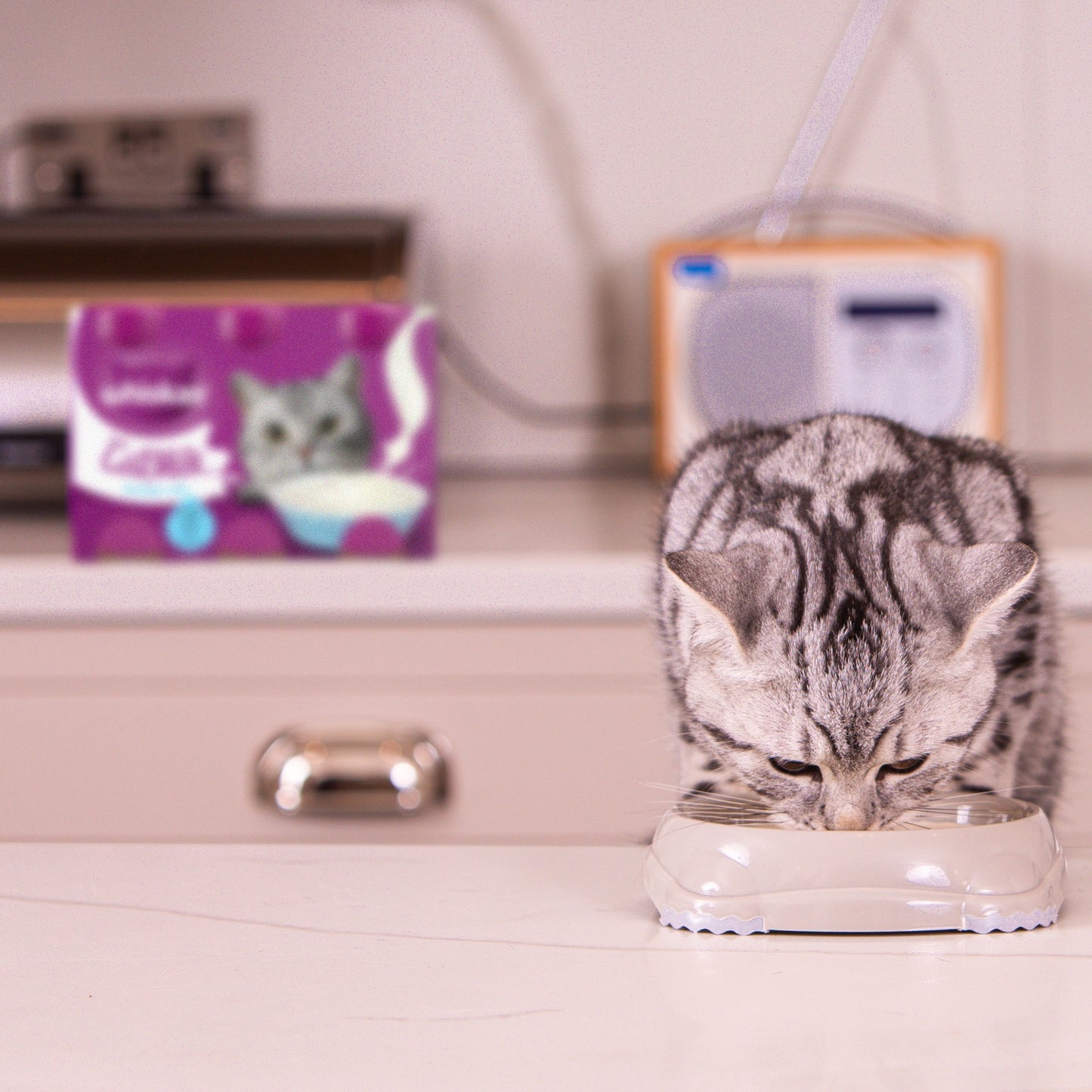 Lait pour Chat Adultes et Junior Catmilk WHISKAS