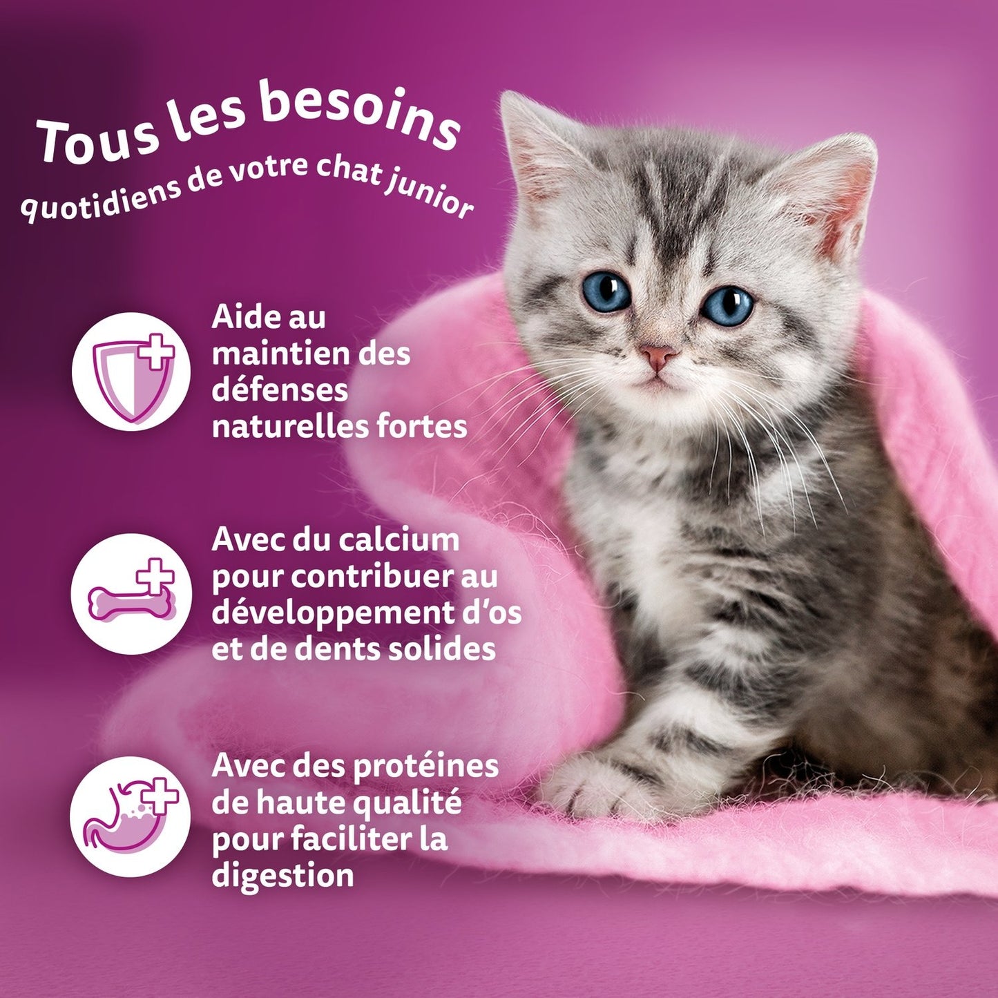 Pâtée pour Chat Junior en Gelée Poulet Dinde Canard Volaille les Festins WHISKAS