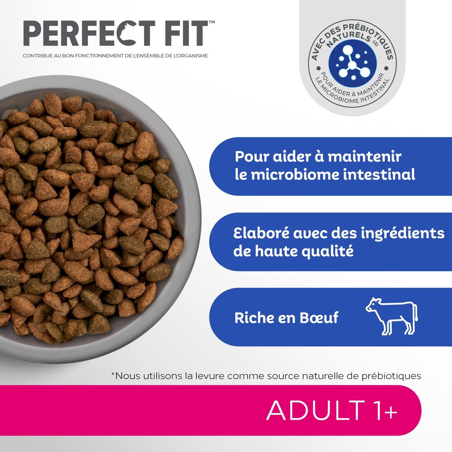 Croquettes pour Chat Adulte Stérilisé Boeuf PERFECT FIT