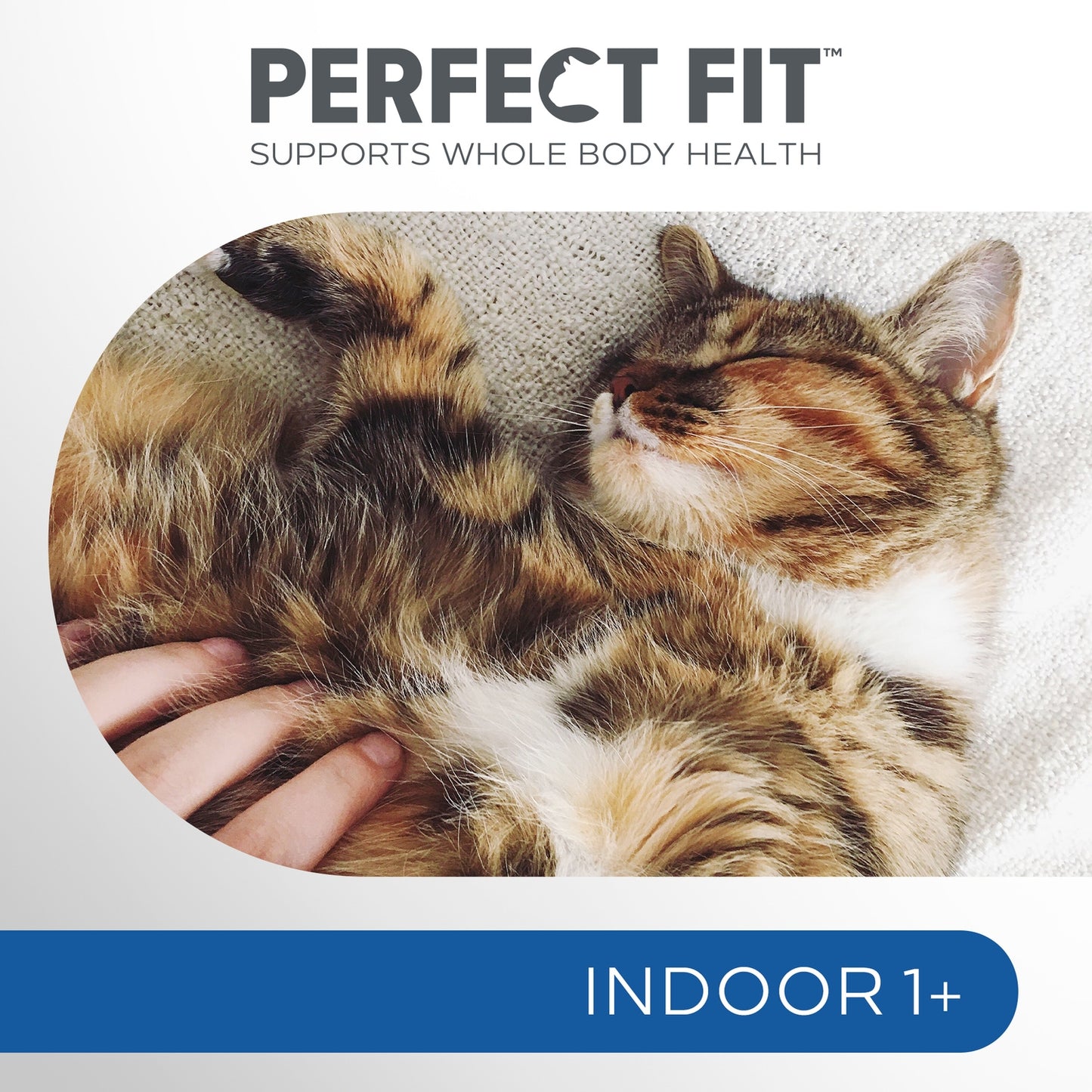Croquettes pour Chat Adulte Stérilisé Poulet d'Intérieur PERFECT FIT