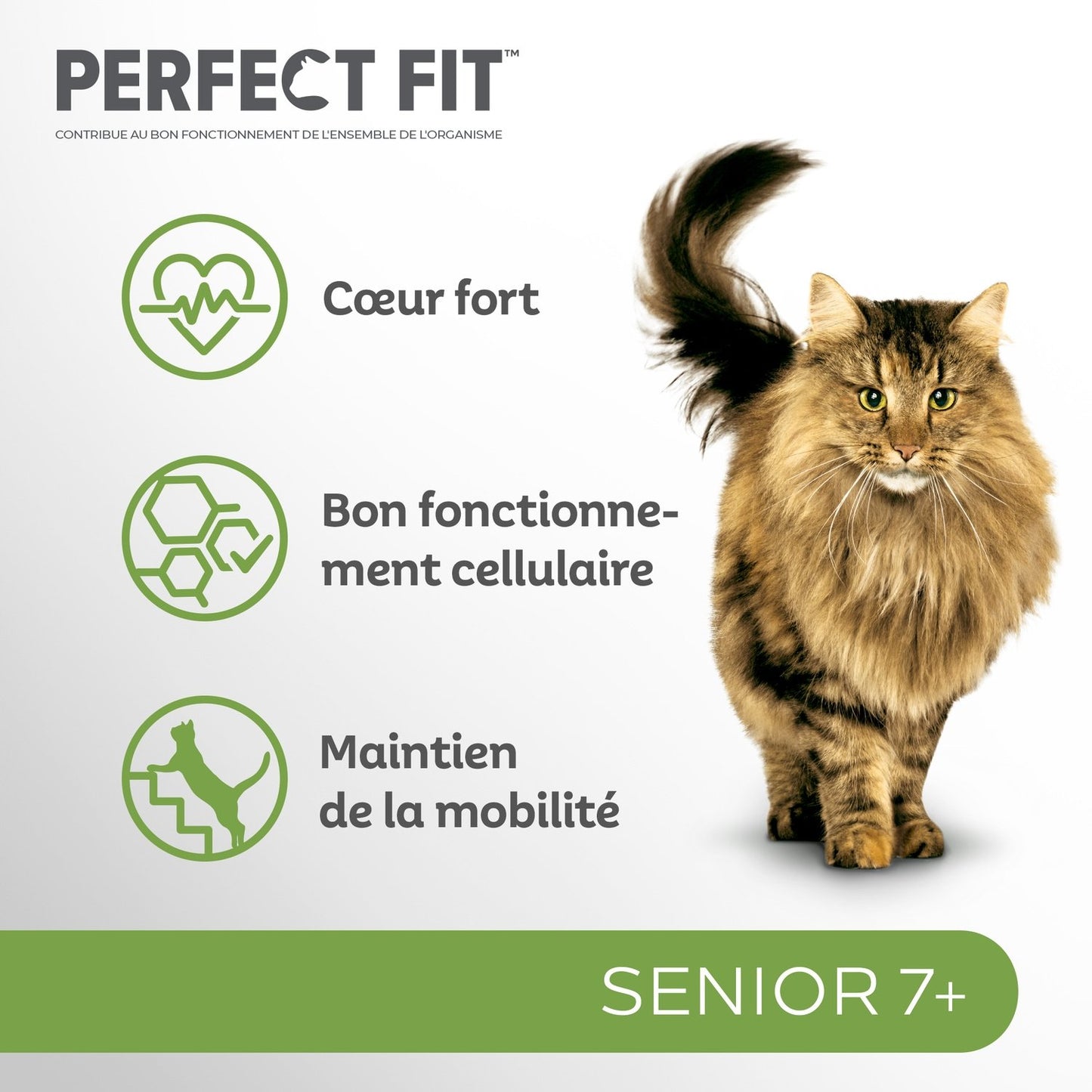 Croquettes pour Chat Sénior Stérilisé Poulet Total 5 PERFECT FIT