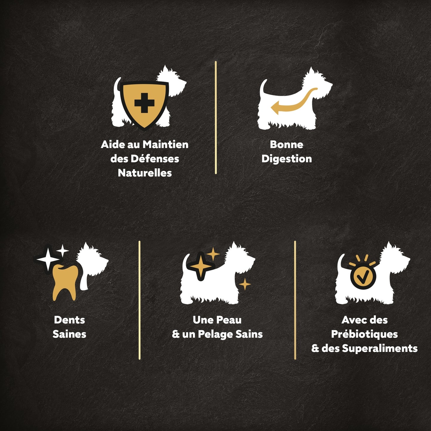 Kroketten für kleine erwachsene Hunde mit Rindfleisch, Geflügel, Linsen und CESAR