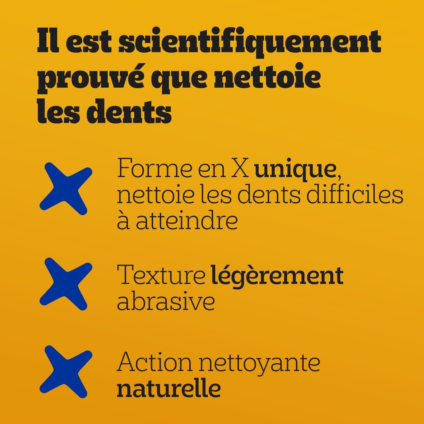 Bâtonnet à Mâcher pour Chien Grand +25kg Hygiène Bucco Dentaire Poulet Dentastix DENTASTIX
