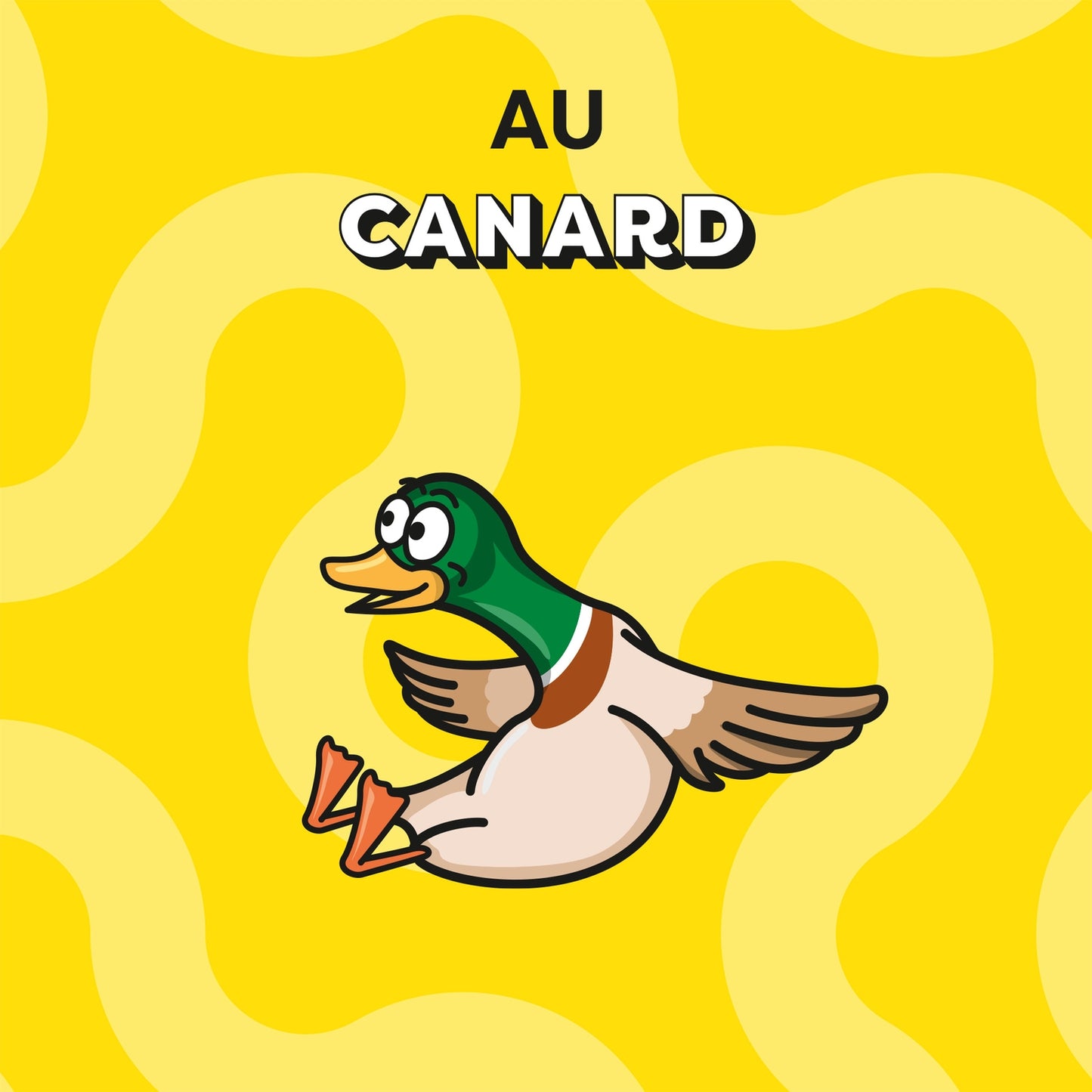 Friandises pour Chat Adulte et Chaton Canard CATISFACTIONS