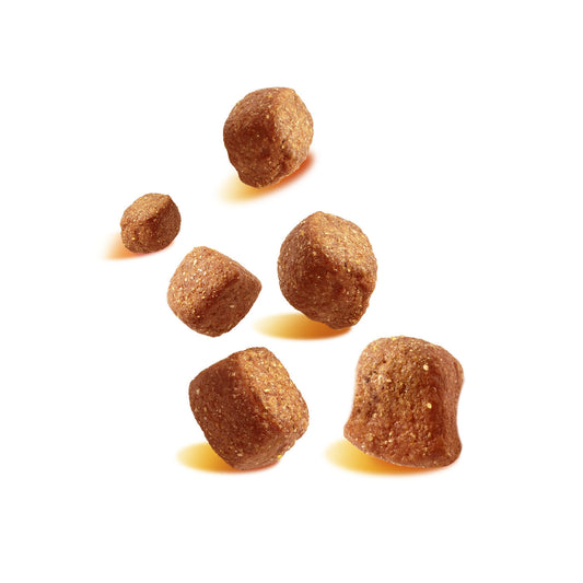 Tasty Minis PEDIGREE Adult Hundeleckerlis mit Huhn und Ente