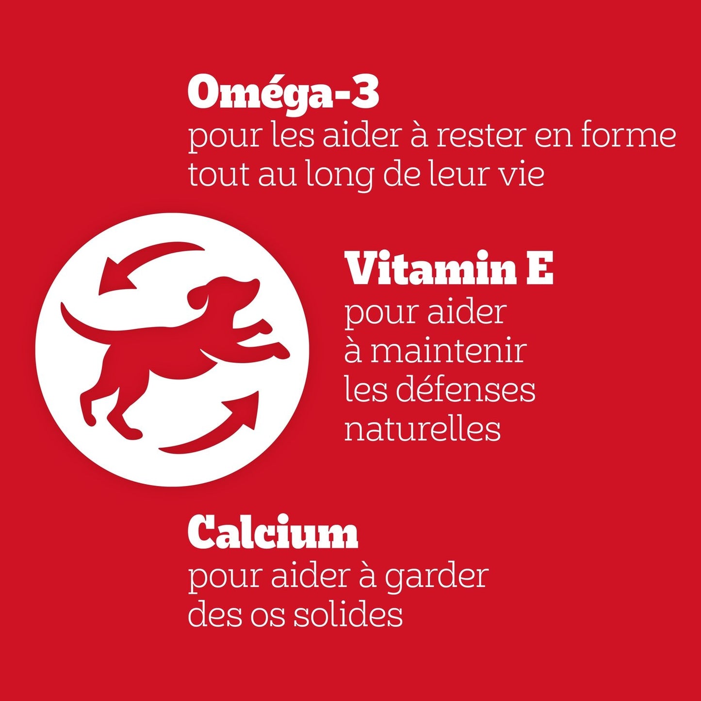 Friandises pour Chien Adulte Poulet Bacon Rodeo PEDIGREE