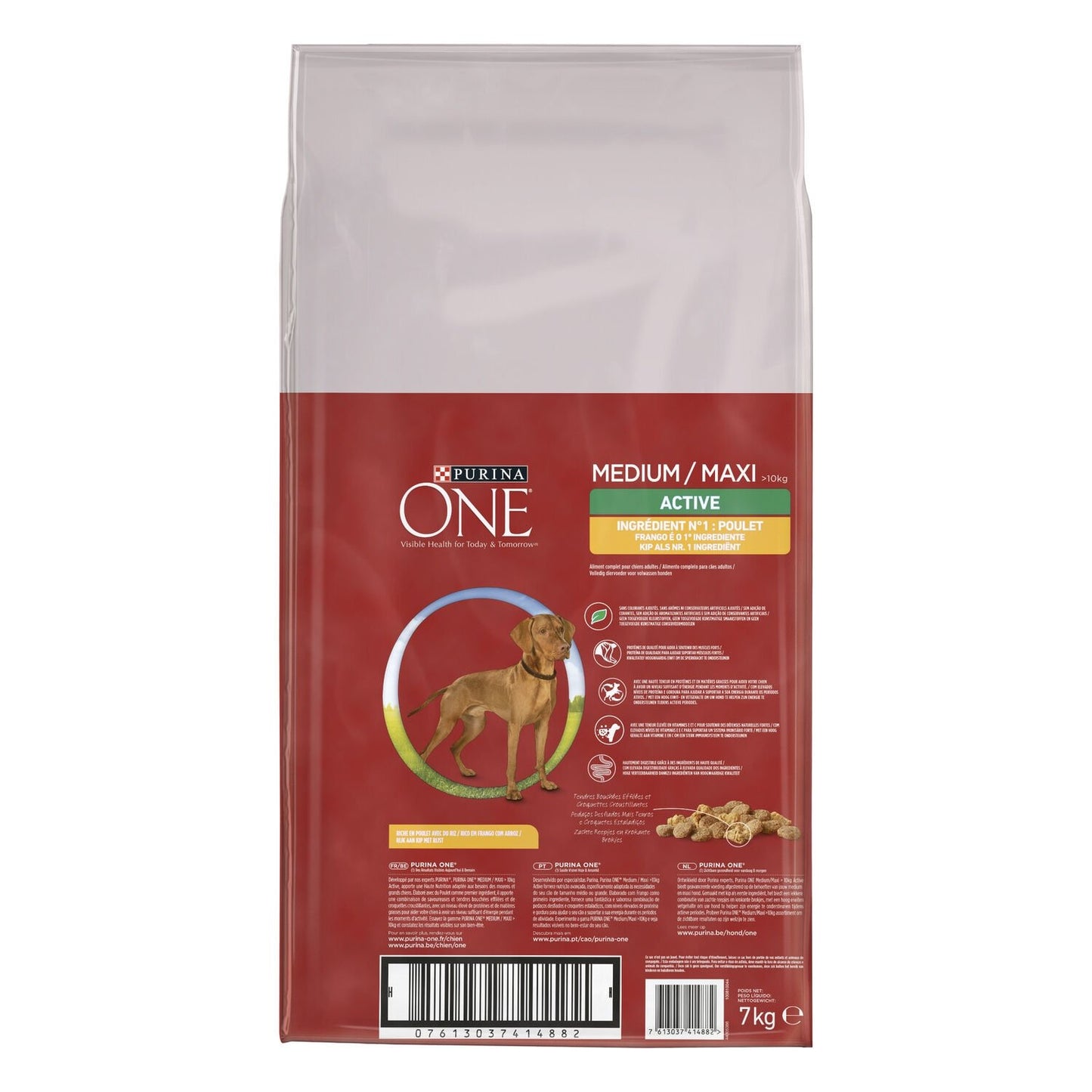 Croquettes pour Chien Adulte Medium Maxi +10kg Actif Poulet Riz PURINA ONE
