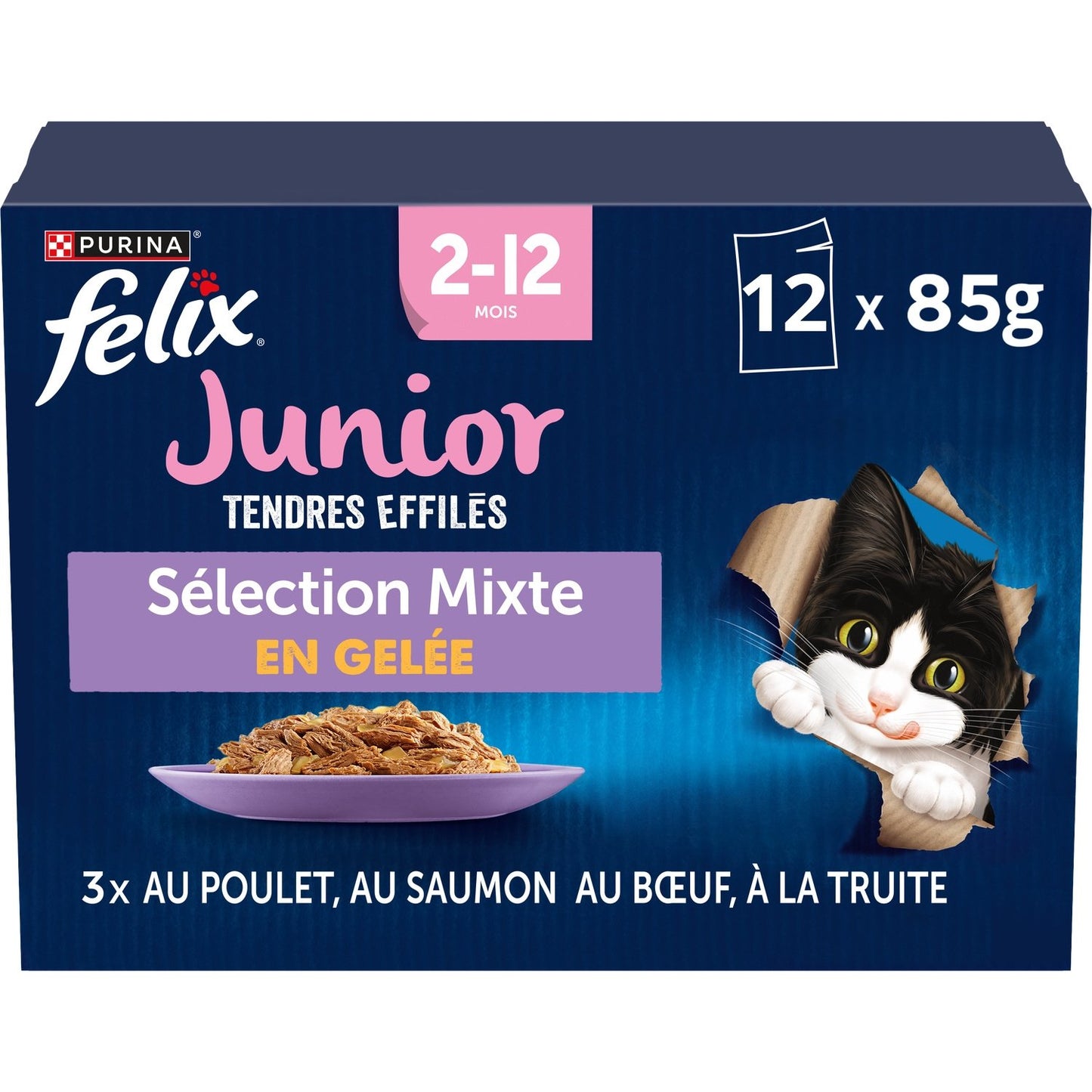 Pâtée pour Chat Junior Tendres Effilés en Gelée Poulet Saumon Boeuf Truite FELIX
