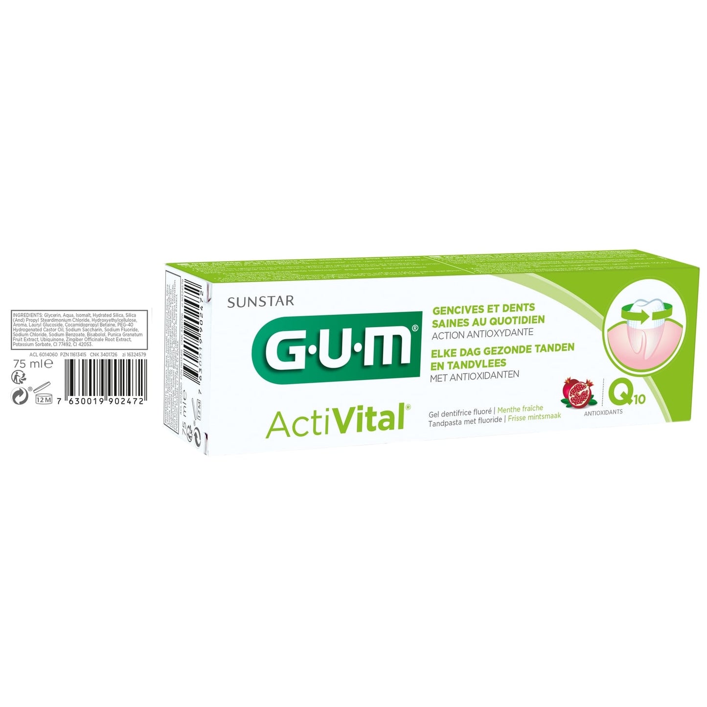 Dentifrice Multi-action Protège les Dents et les Gencives Q10 SUNSTAR