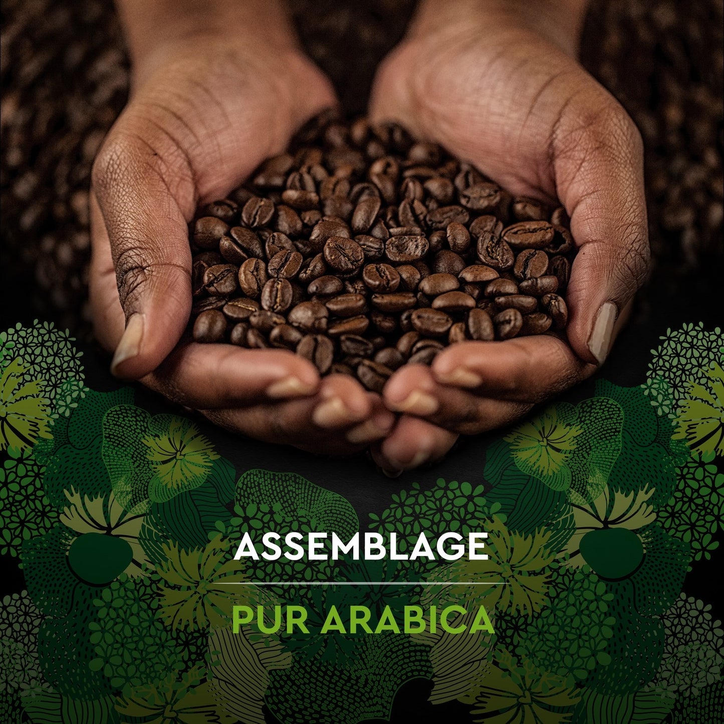 Café Moulu 100% Arabica Intensité 5 Bio CARTE NOIRE