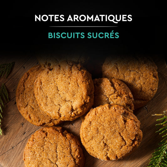 Bio gemahlener Kaffee Peru BLACK CARD