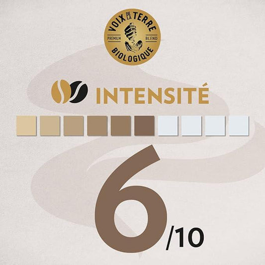 LAVAZZA Bio-Kaffeebohnen