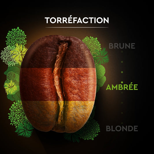 Bio 100% Arabica Kaffeebohnen CARTE NOIRE