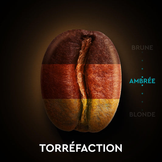 Klassische Espressokapseln Intensität 7 Nespresso-kompatibel SCHWARZE KARTE