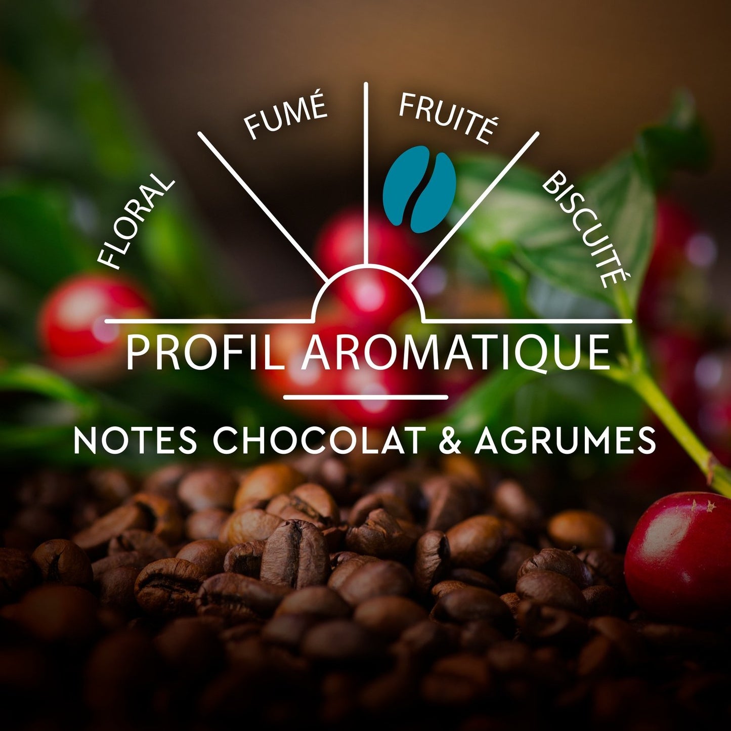 Café Capsules Espresso Classique Intensité 7 Compatible Nespresso CARTE NOIRE