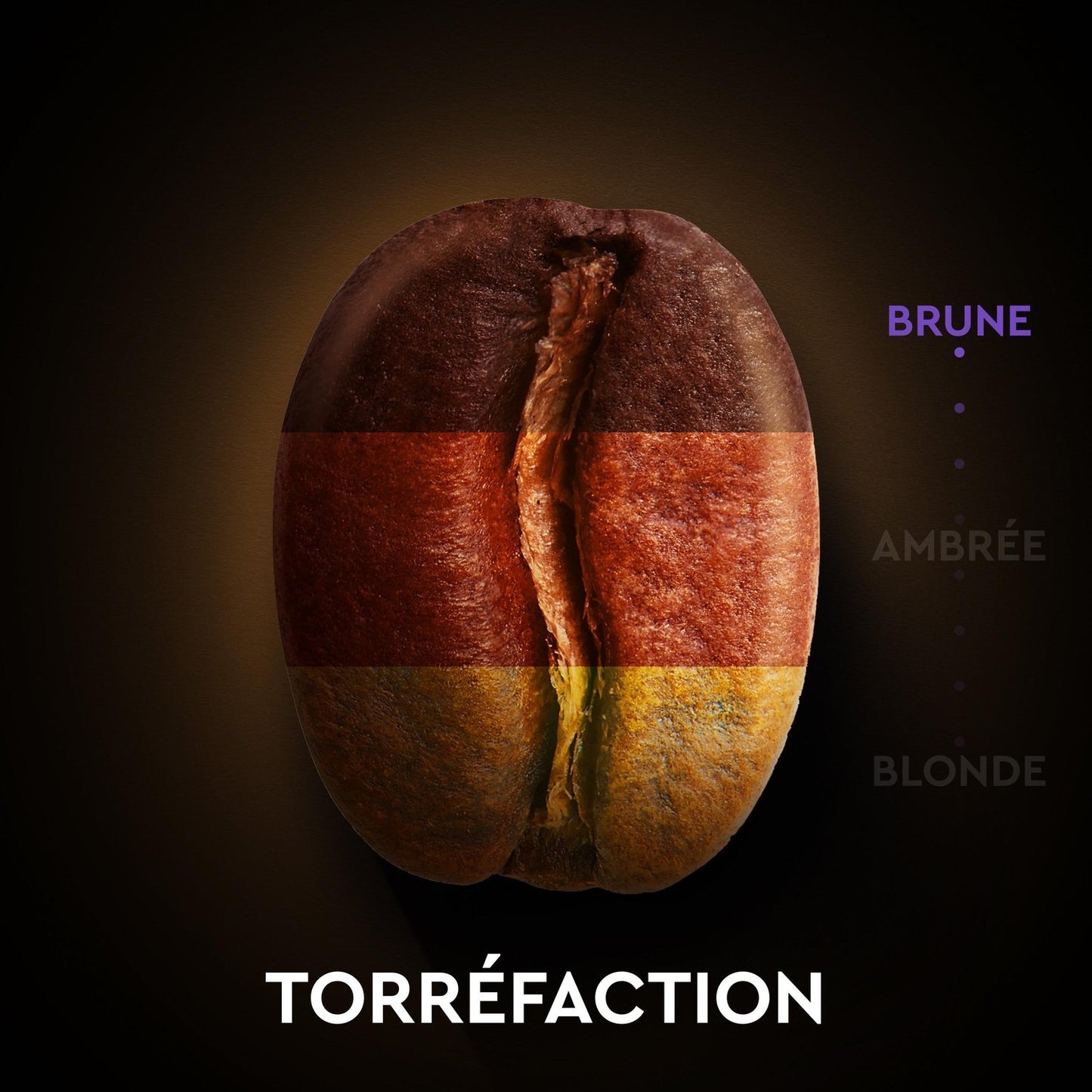 Espressokapseln Intensität 11 Kompatibel mit Nespresso CARTE NOIRE