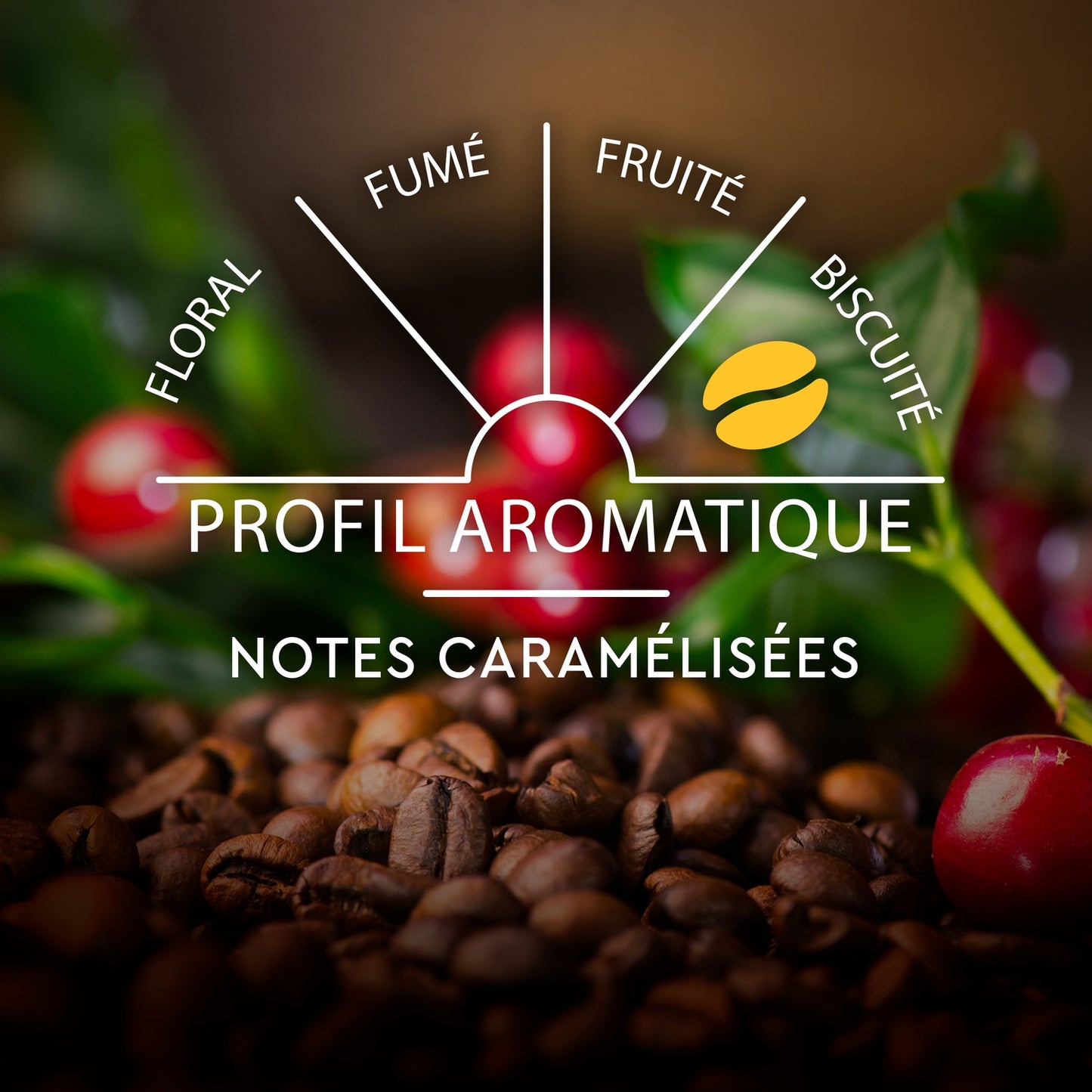 Café Capsules Compatibles Nespresso Lungo Classique °6 CARTE NOIRE