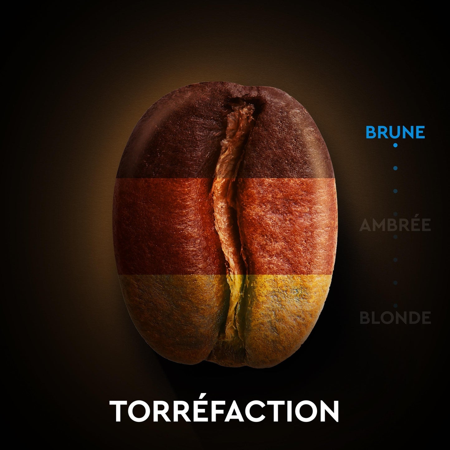 Café Capsules Décaféiné Intensité 5 Compatible Nespresso CARTE NOIRE