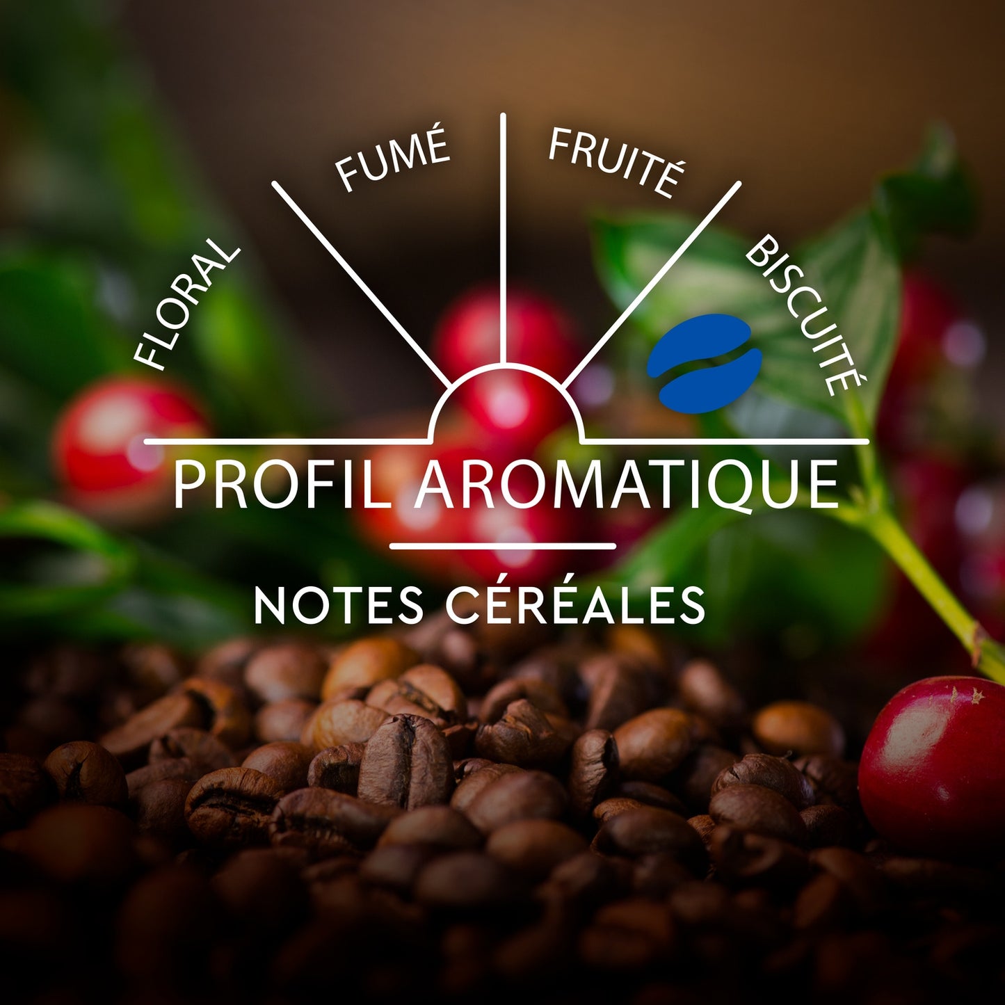 Café Capsules Décaféiné Intensité 5 Compatible Nespresso CARTE NOIRE