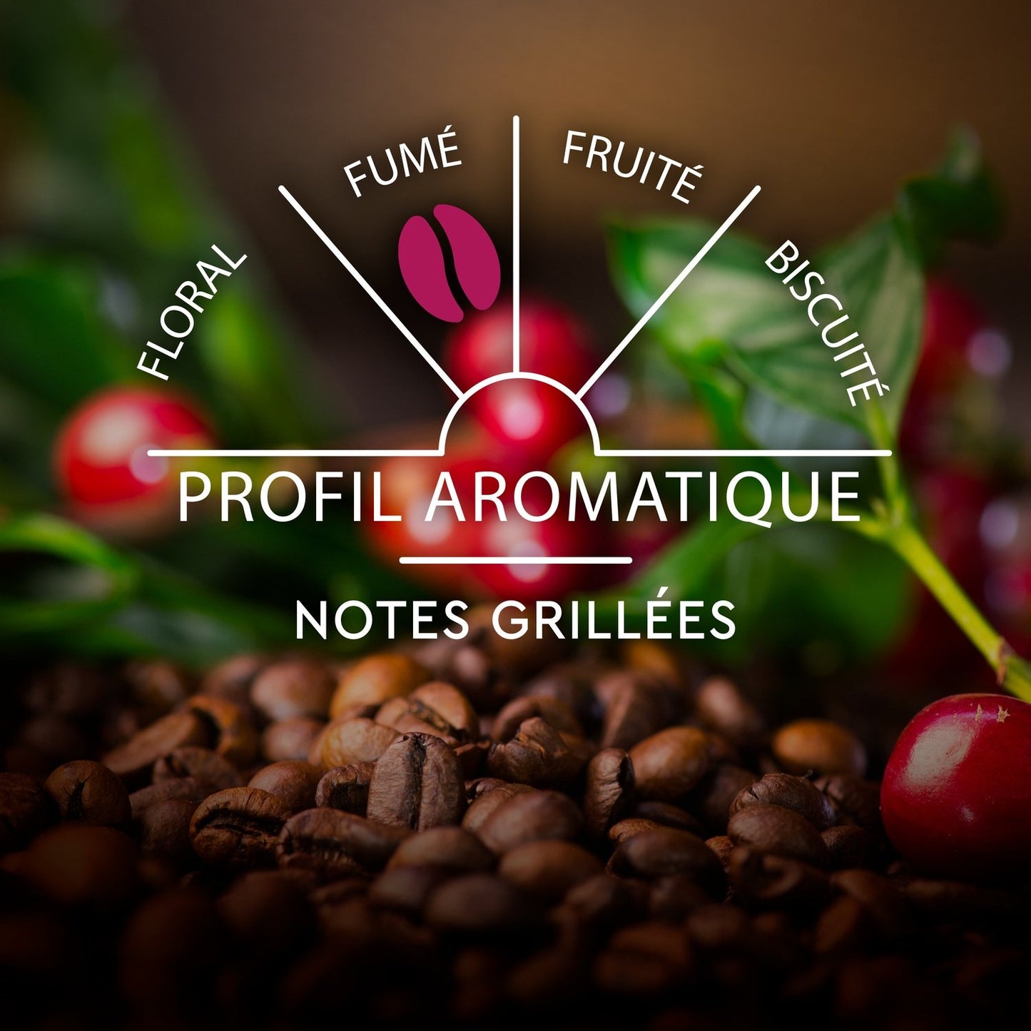 Café Capsules Espresso Intensité 9 Compatible Nespresso CARTE NOIRE