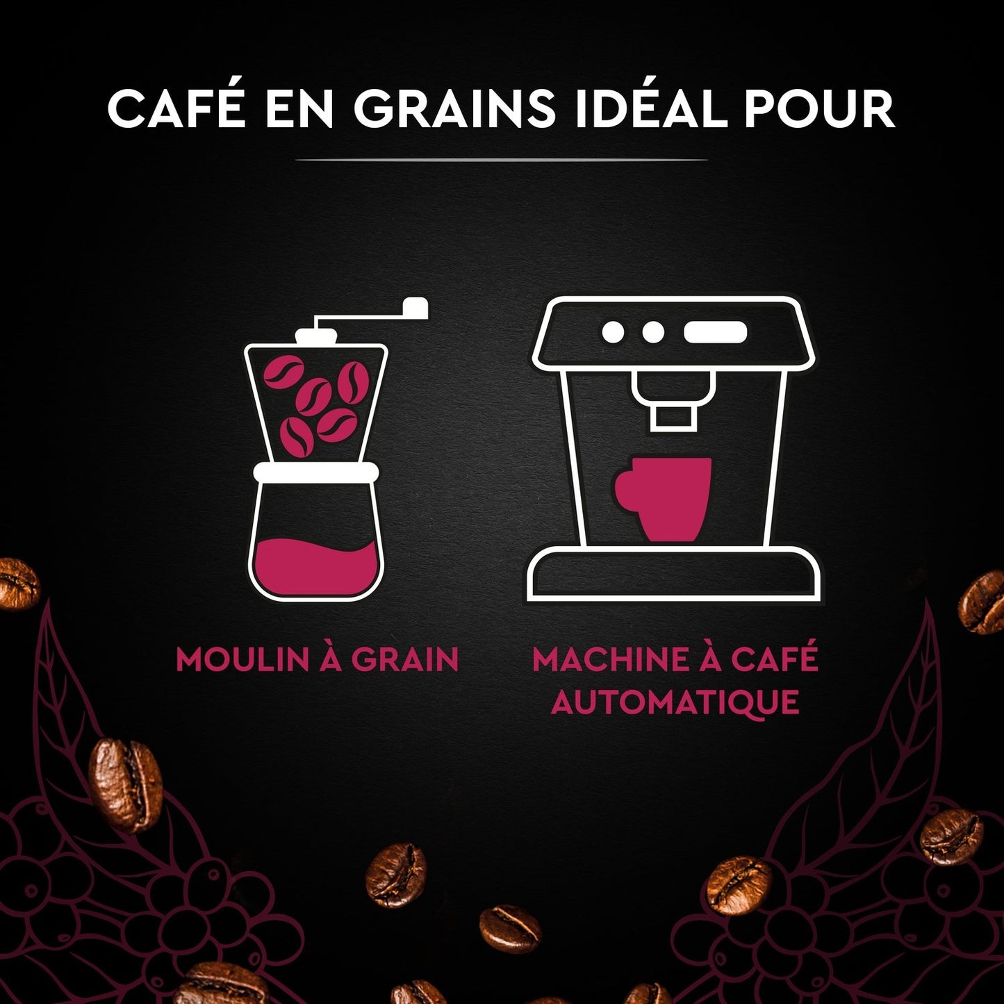 Café en Grains Espresso 100% Arabica Intensité 10 CARTE NOIRE