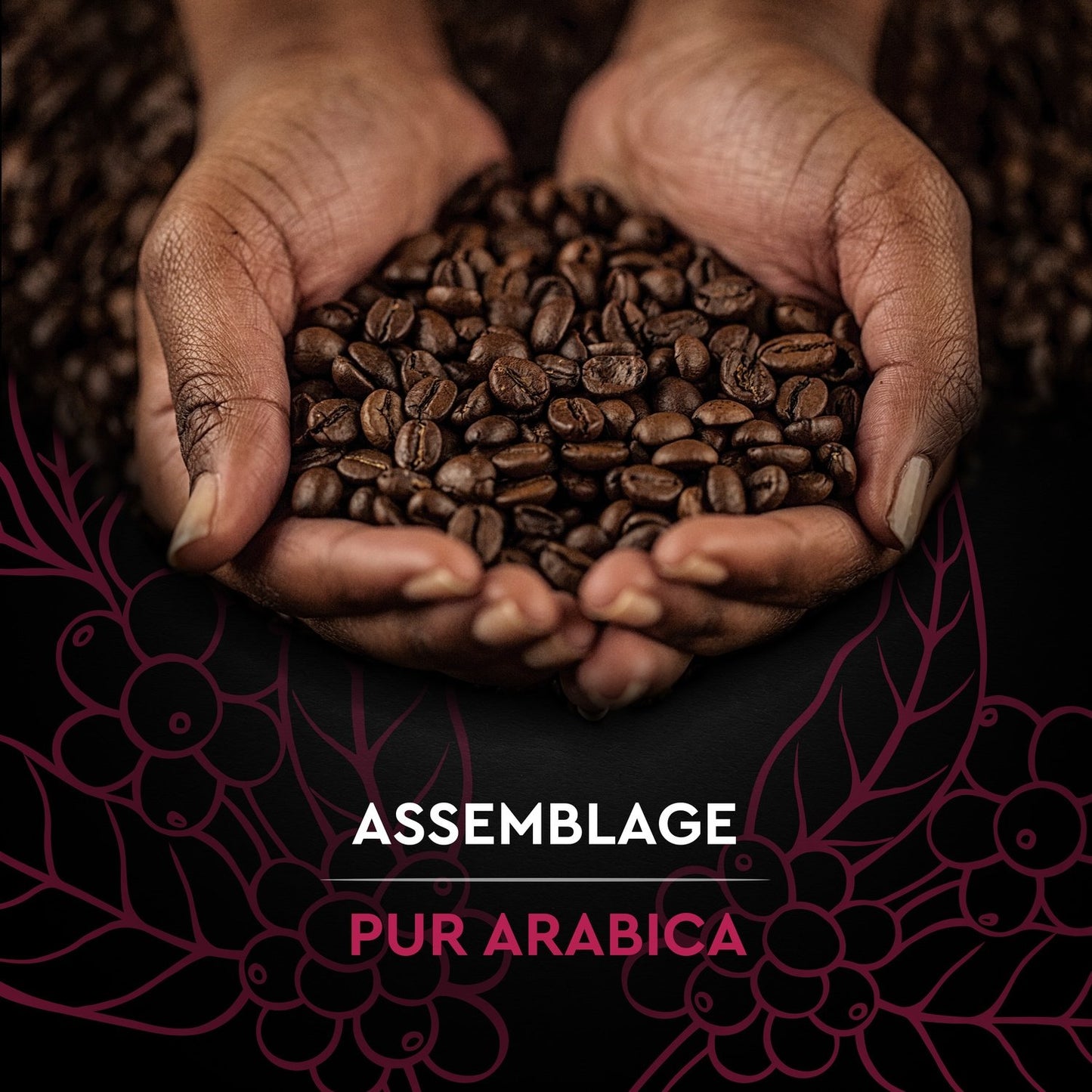 Café en Grains Espresso 100% Arabica Intensité 10 CARTE NOIRE