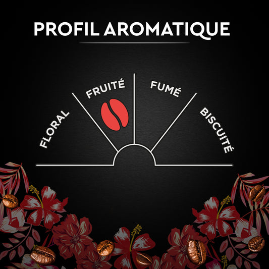 100% Arabica Kaffeebohnen Intensität 6 Honduras Bio SCHWARZE KARTE