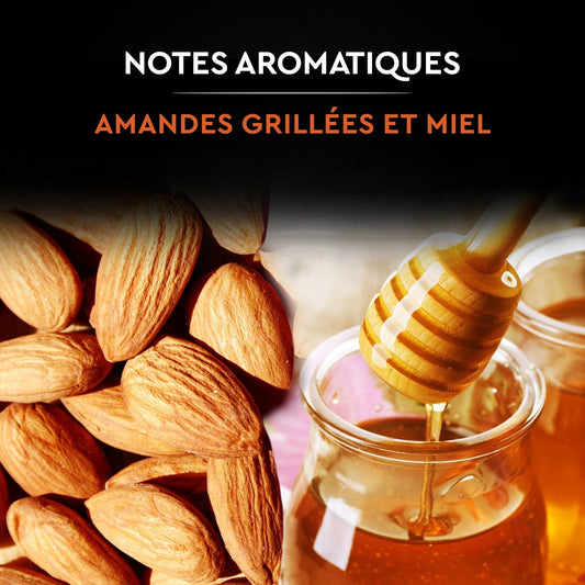 Catuai Romex Kaffeebohnen Intensität 7 SCHWARZE KARTE