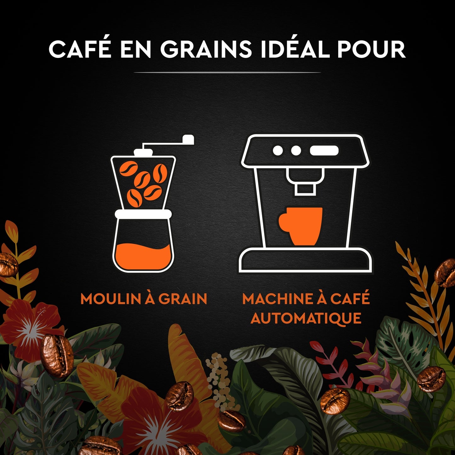 Café en Grains Catuai Romex Intensité 7 CARTE NOIRE
