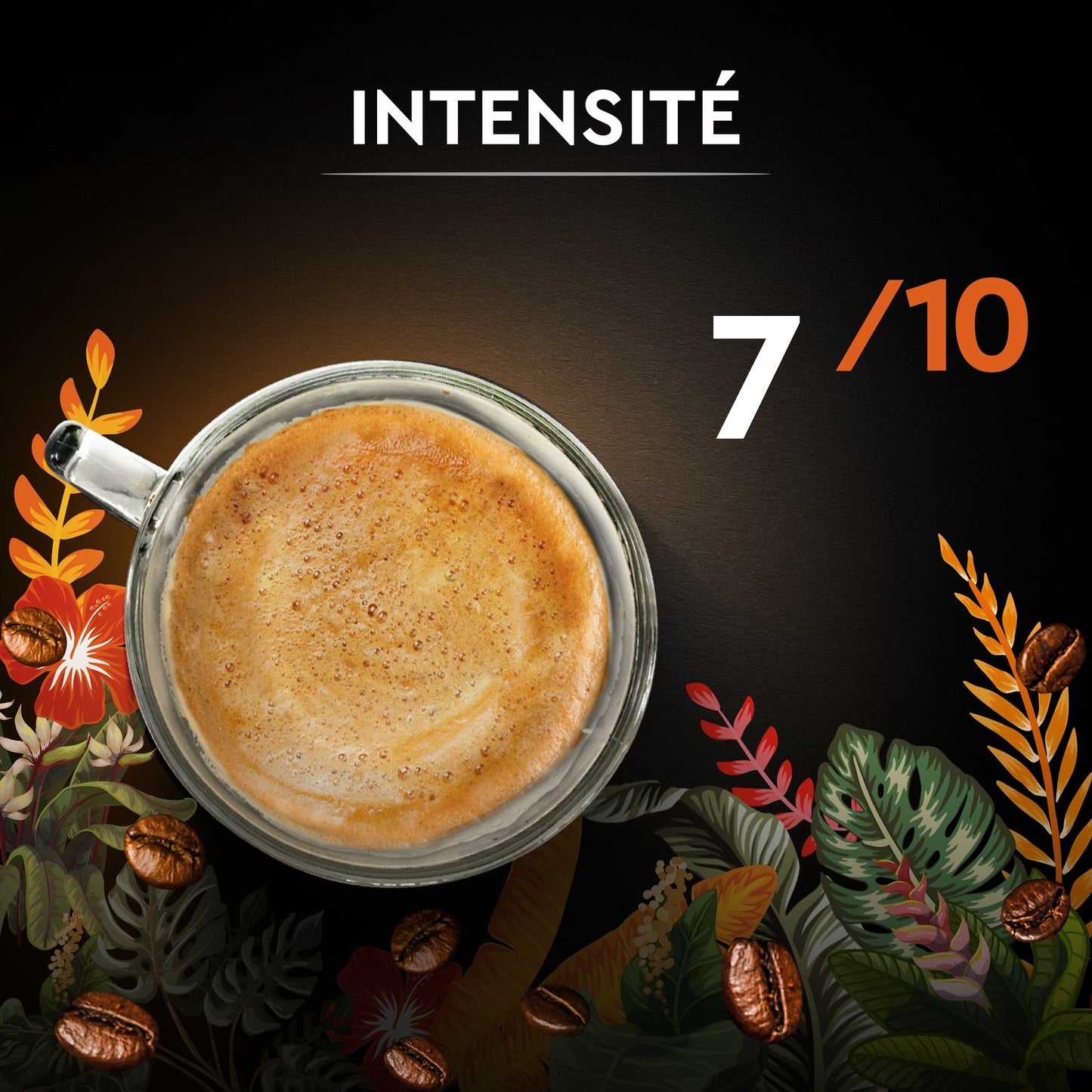 Café en Grains Catuai Romex Intensité 7 CARTE NOIRE
