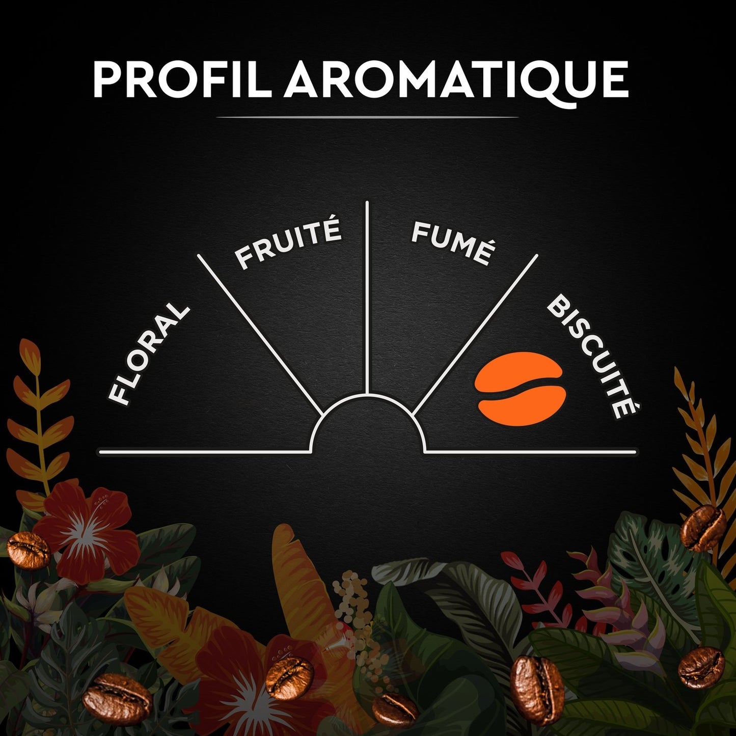 Café en Grains Catuai Romex Intensité 7 CARTE NOIRE