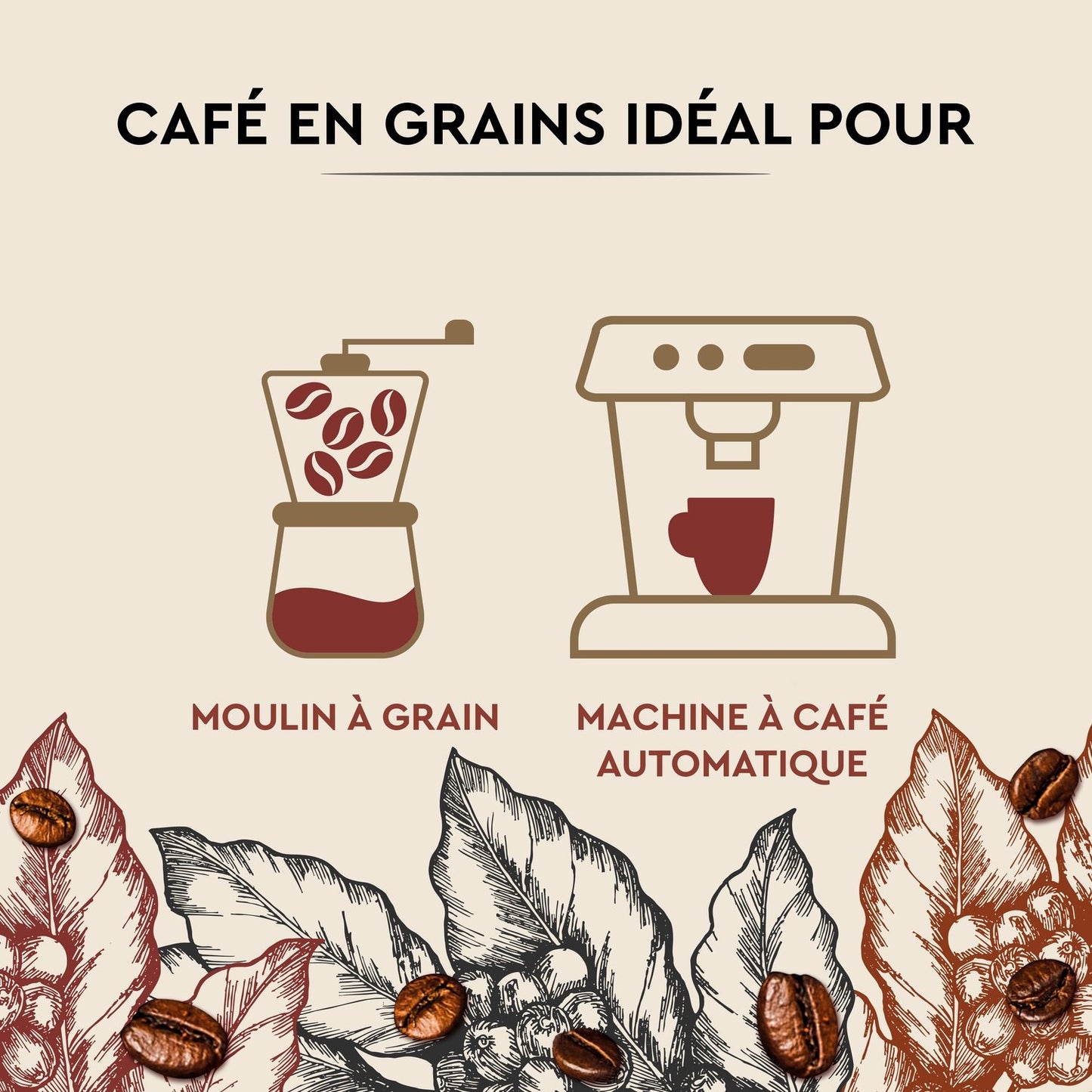 Café en Grains Cuvée de Caractère CARTE NOIRE