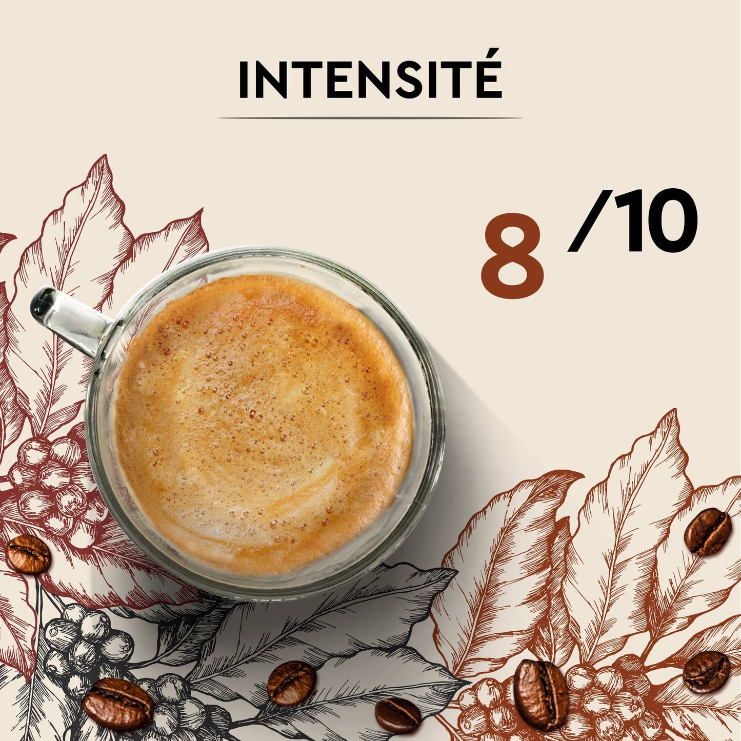 Café en Grains Cuvée de Caractère CARTE NOIRE