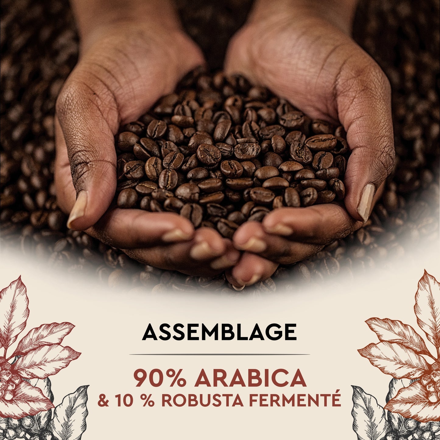 Café en Grains Cuvée de Caractère CARTE NOIRE