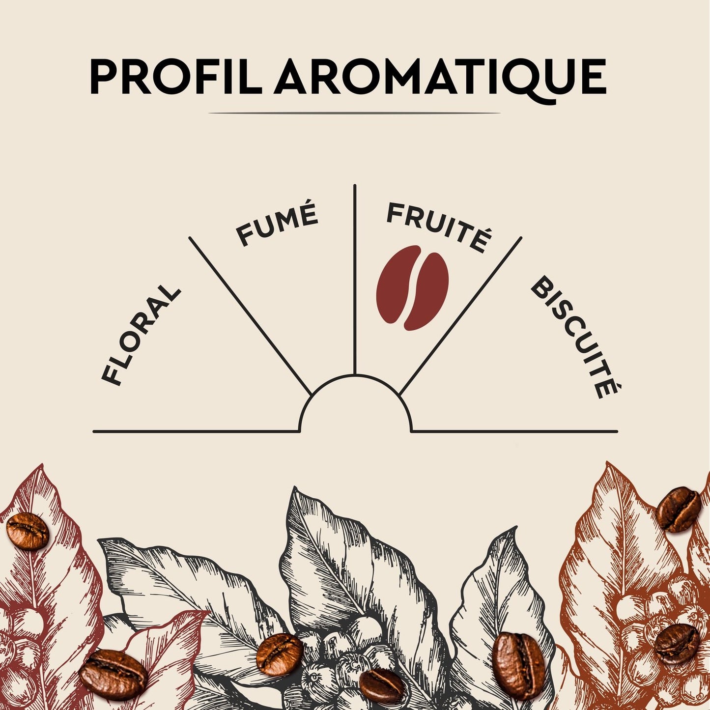 Café en Grains Cuvée de Caractère CARTE NOIRE
