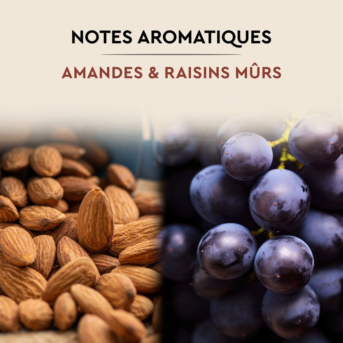 Café en Grains Cuvée de Caractère CARTE NOIRE