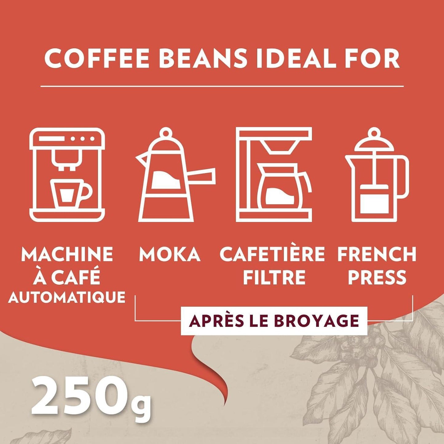 Café Moulu LAVAZZA