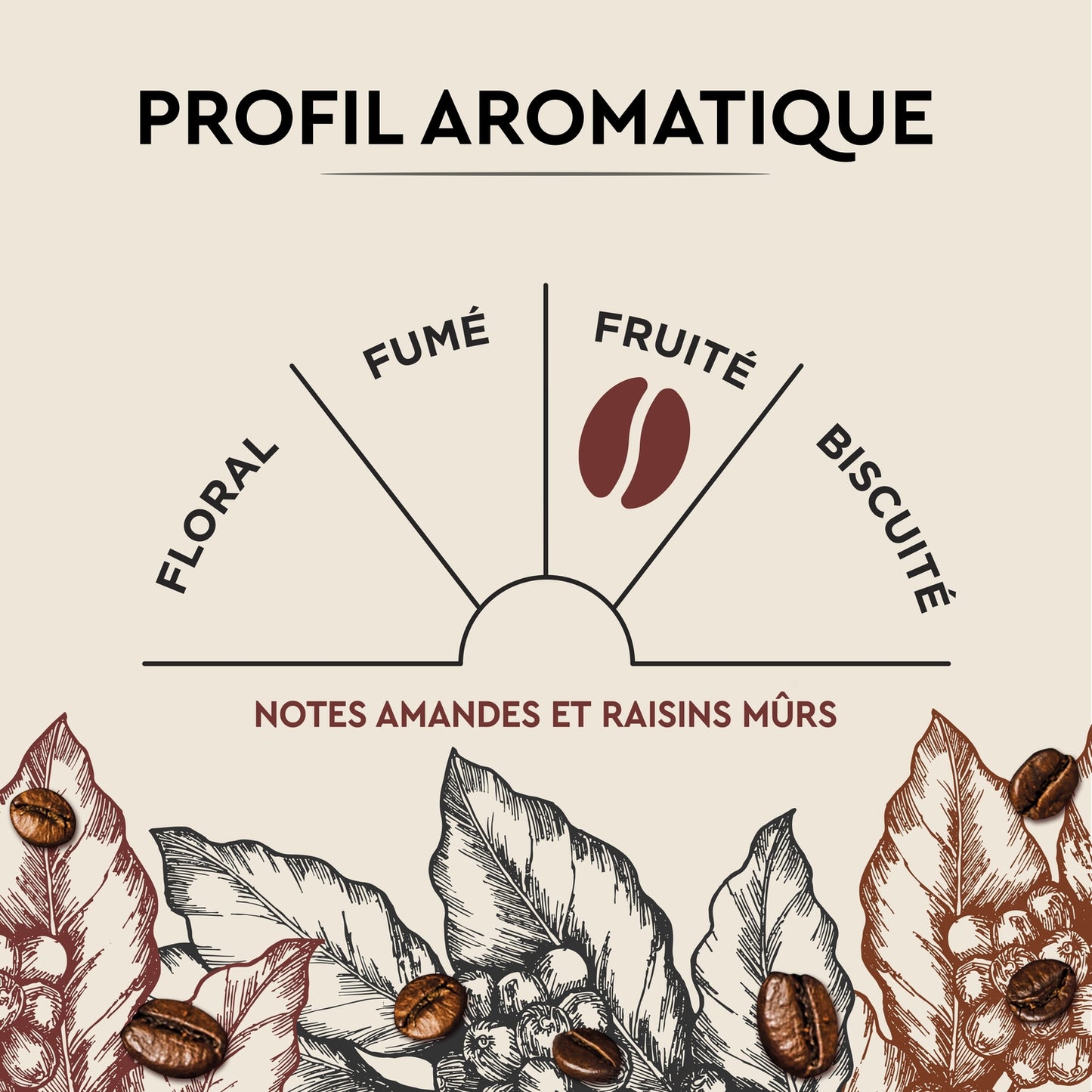 Kaffeekapseln, Intensität 8, Cuvée de Caractère, kompatibel mit Nespresso CARTE NOIRE