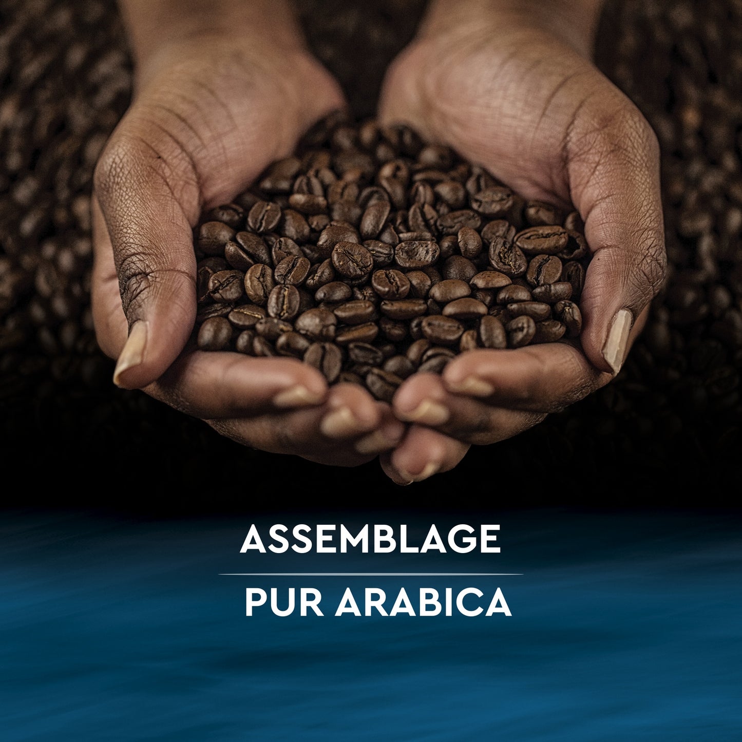 Café Moulu Décaféiné 100% Arabica Intensité 7 CARTE NOIRE