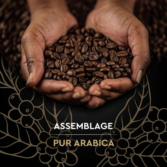 100 % Arabica-Kaffeebohnen, Intensität 7, CARTE NOIRE